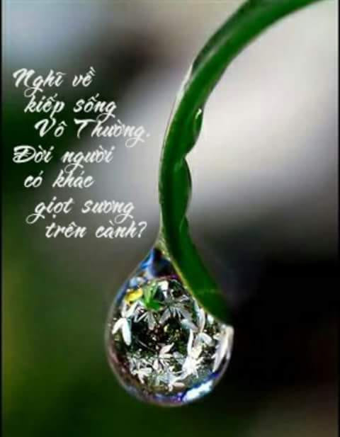 Ân Oán Xưa Thành Cha Con Hiện Tại