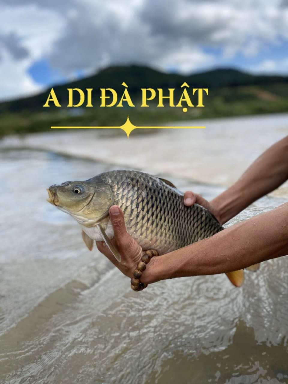 Ếch Báo Mộng Xin Tha Mạng