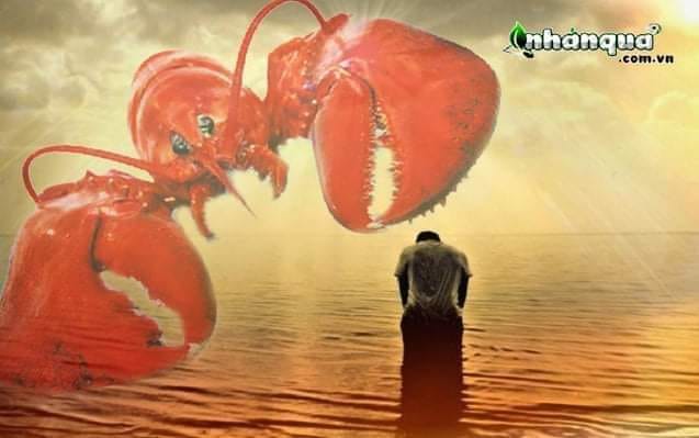 Tôm Hùm Rửa Hận