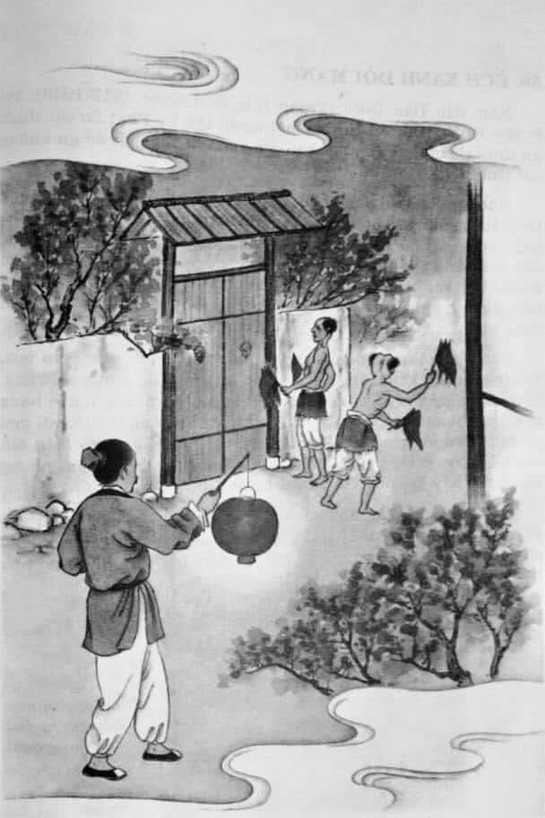 Quả Báo Sát Sinh Và Phóng Sinh