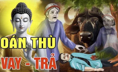 Quả Báo Trưng Bày Đầu Thú Trong Nhà
