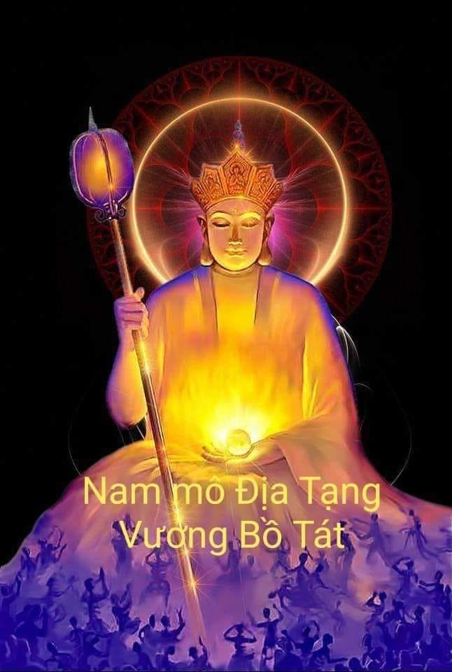 Mèo Rừng Oán Hận Sinh Làm Con