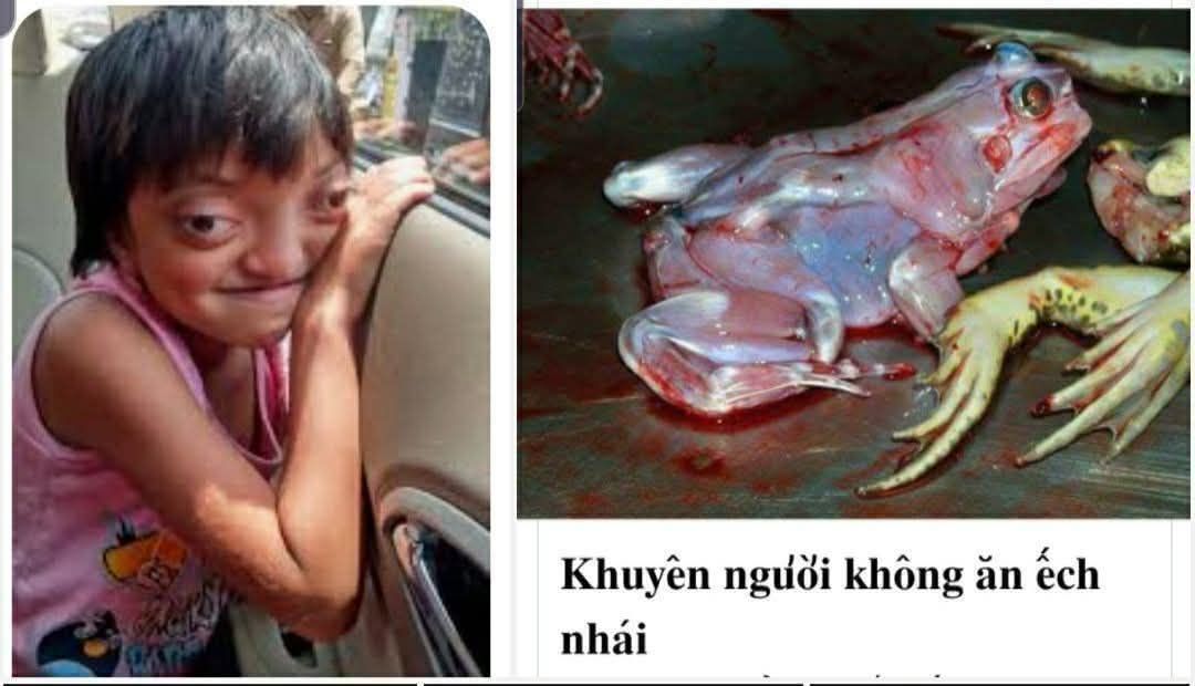 Quả Báo Cắt Đầu Lột Da Ếch Nhái